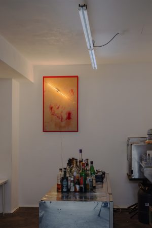 ninobarmitlayerriesfert